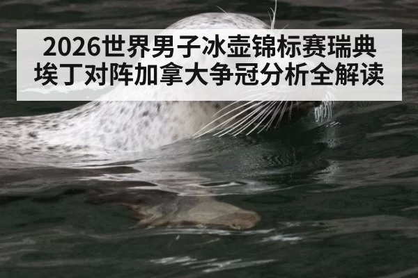 2026世界男子冰壶锦标赛瑞典埃丁对阵加拿大争冠分析全解读